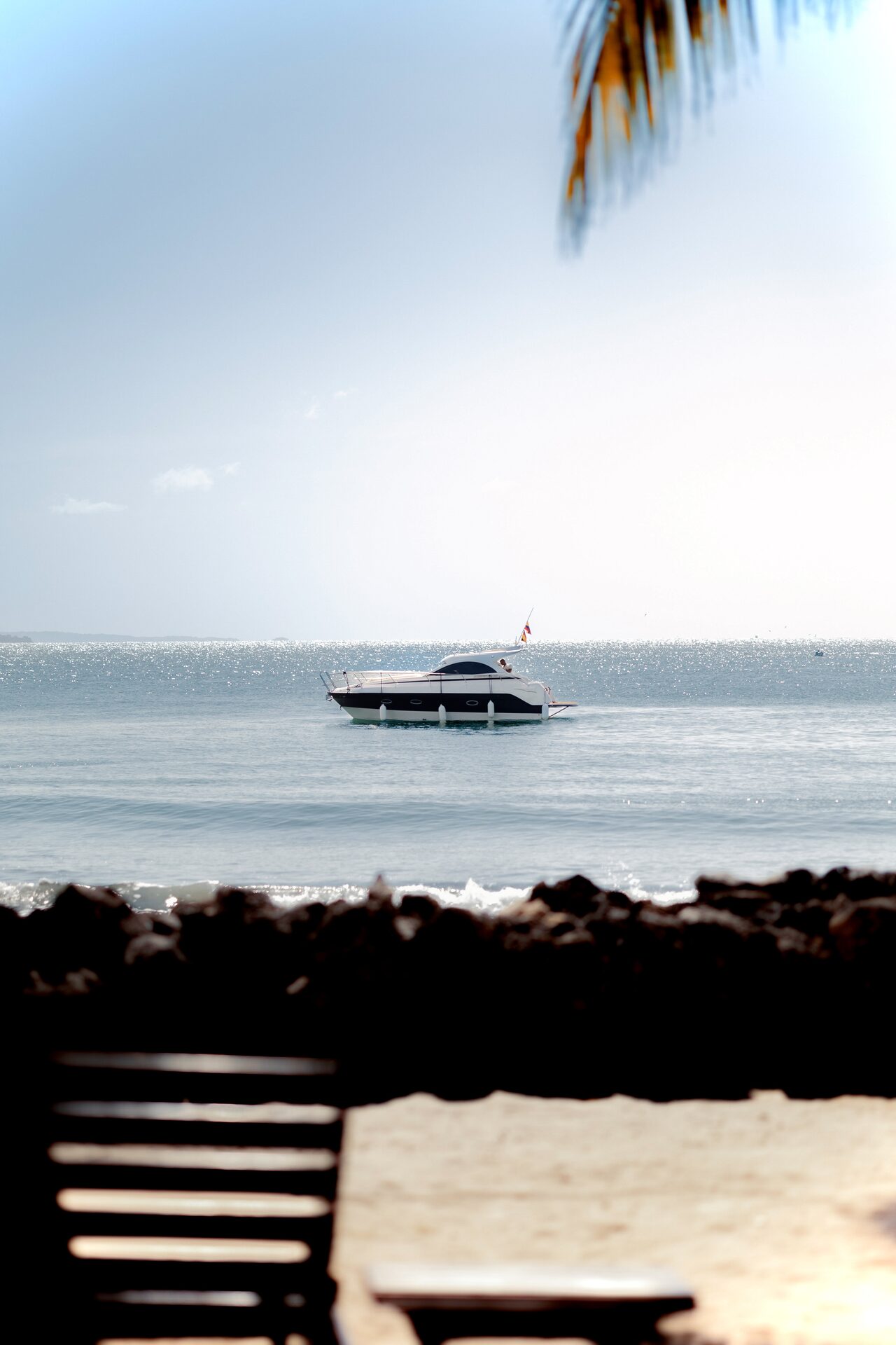 Yate Vento D'Amore